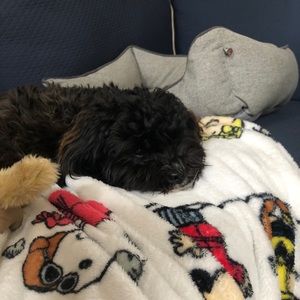 Meet your Posher, Maureen